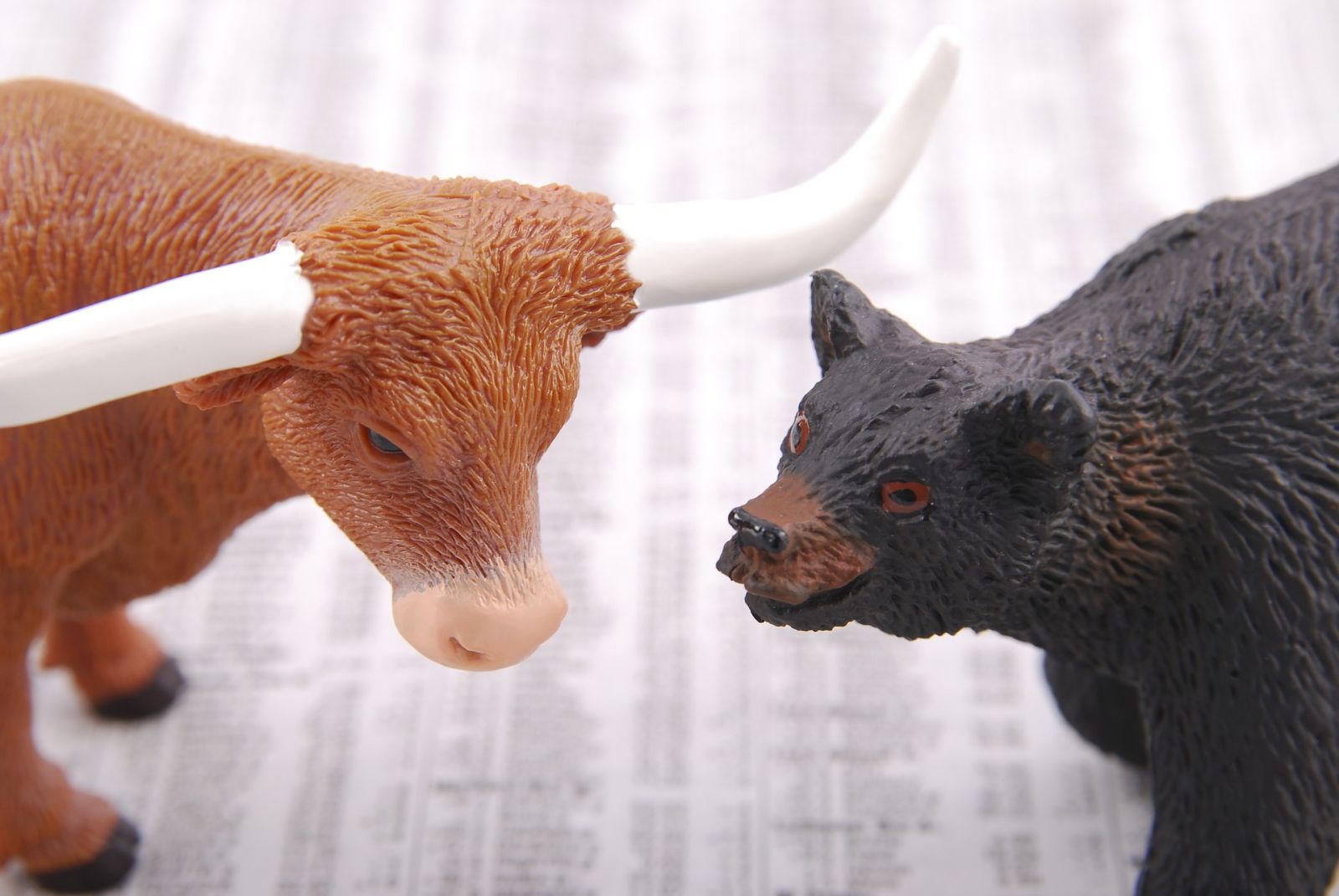 Bull & Bear - bull-bear-stock-market-business-1885566